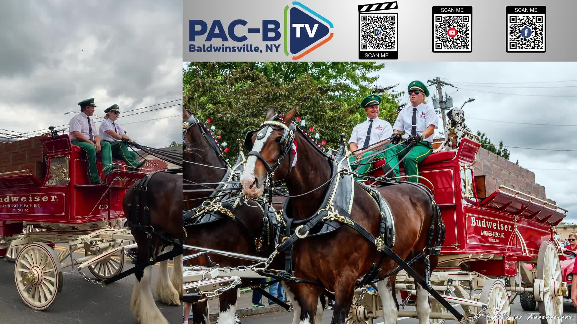 The Budweiser Clydesdales - 06/23/2023