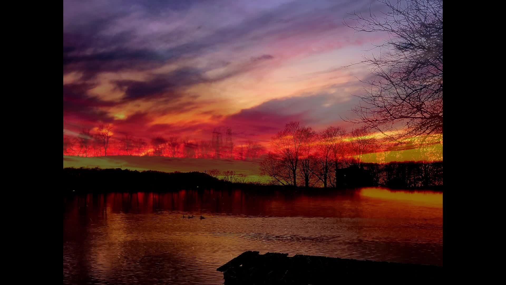 Thumbnail image for Landscapes with Yvette - 01/20/2024