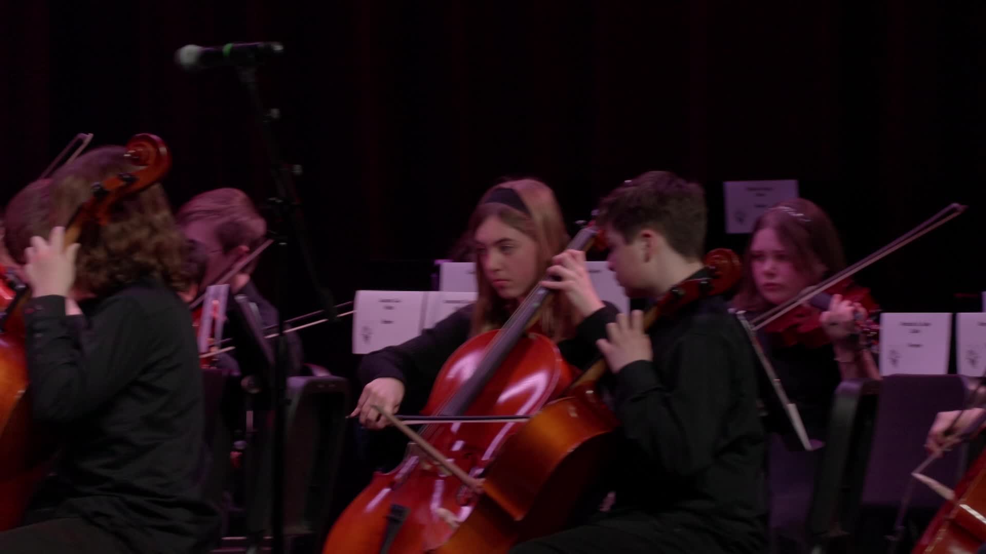 Thumbnail image for All-District Orchestra Concert - 03/21/2024