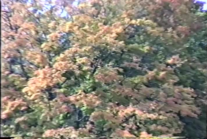 Fall Scenes B'Ville Norma Part 2 - 10/01/2001